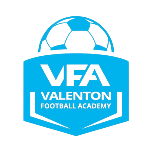 Logo du vfa